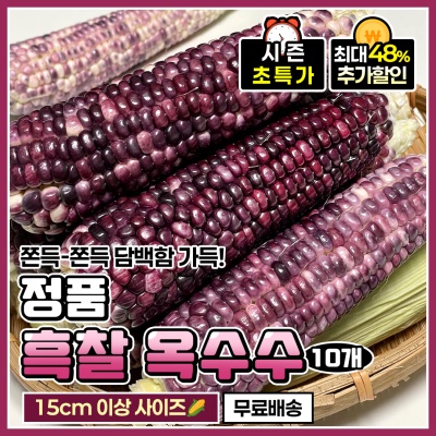 쫀득-쫀득 고소한 정품 햇 흑찰옥수수