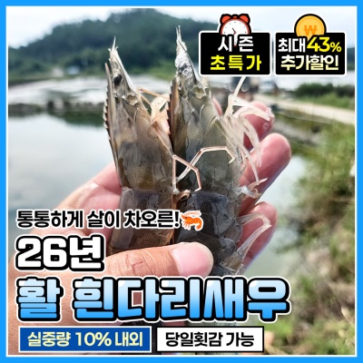 국내산 26년 살아있는 (활)흰다리 새우