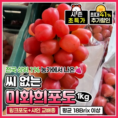 [사전예약] 단독 신품종 프리미엄 미화희 포도 씨 없는 포도