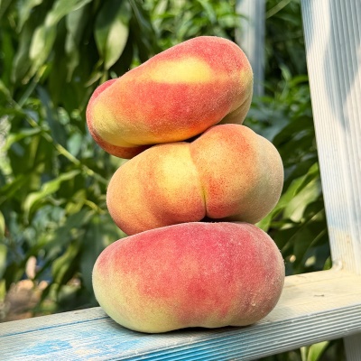 돌쇠네 자체선별 쫀득달콤 거반도 납작 복숭아 1kg
