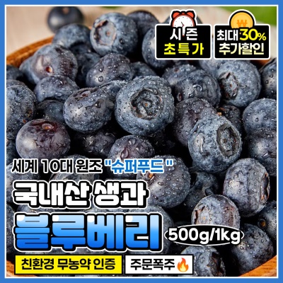 친환경 무농약 만생종 생과 블루베리
