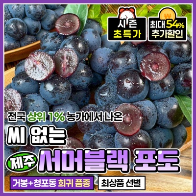 거봉+청포도 신품종 제주 서머블랙 씨 없는 포도 