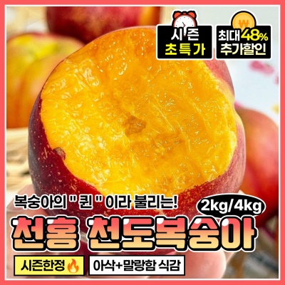 여름 제철 고당도 프리미엄 천홍 천도복숭아
