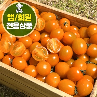 오렌지 대추방울토마토 2kg