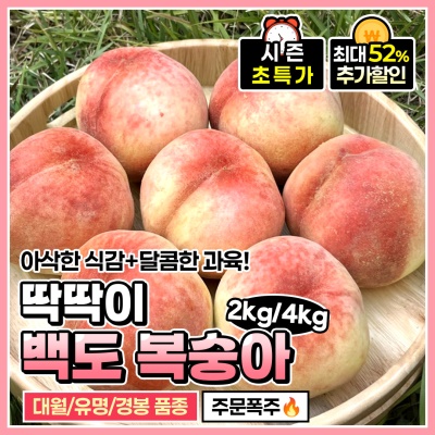 상주 산지직송! 아삭아삭 달콤한 딱딱이 백도 복숭아