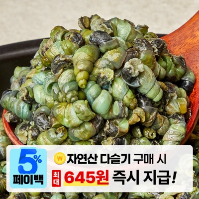 [페이백] 직접 잡아서 보내 드리는 자연산 다슬기