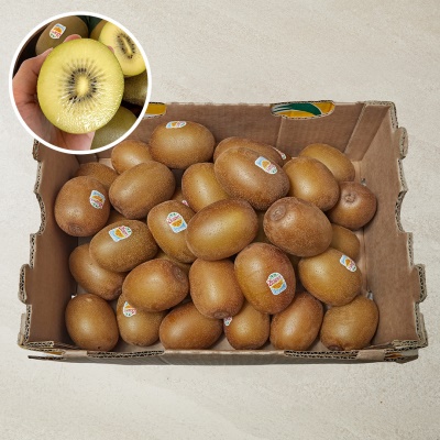 [대용량] 제스프리 고당도 골드키위 5.5kg