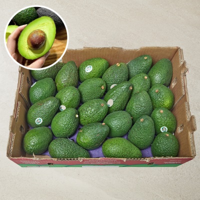 [대용량] 직수입 프리미엄 아보카도 5.5kg