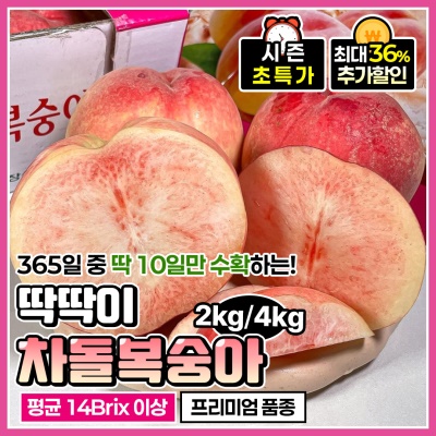 아삭 달콤한 프리미엄 딱딱이 차돌복숭아