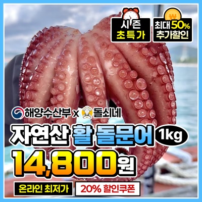 자연산 남해안 활 돌문어 1kg