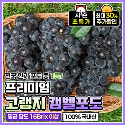 고당도 제철 프리미엄 캠벨 포도
