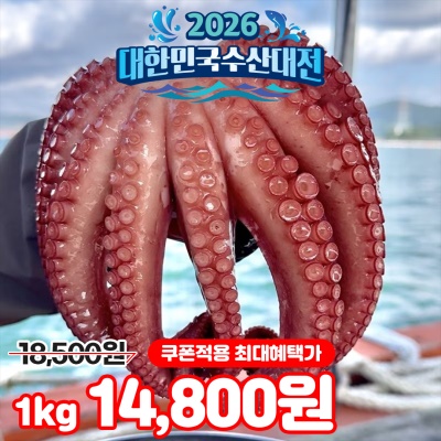 [특가할인] 자연산 남해안 활 돌문어 1kg