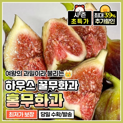 고당도 하우스 홍무화과 생무화과