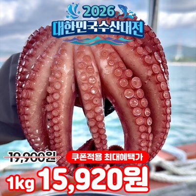 자연산 남해안 활 돌문어 1kg