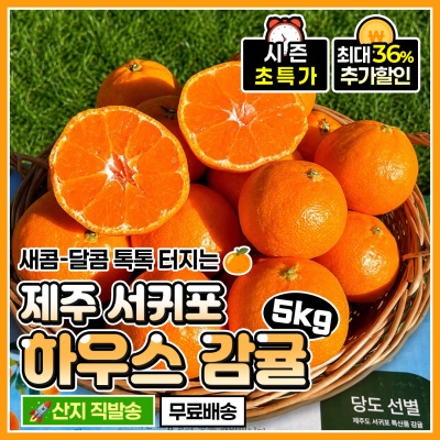 새콤 달콤 맛있는 제주 하우스 감귤 5kg