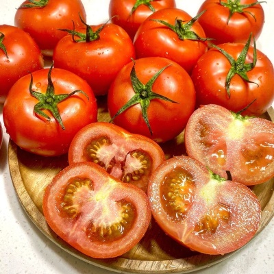 GAP 인증! 당일 수확 단단한 완숙토마토