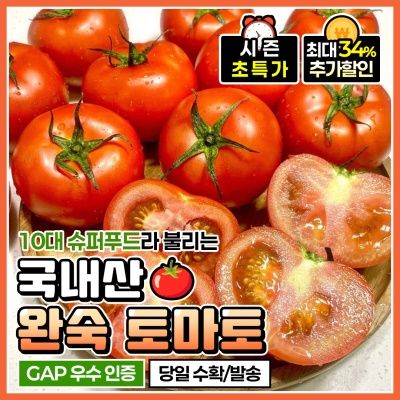 GAP 인증! 당일 수확 단단한 완숙토마토