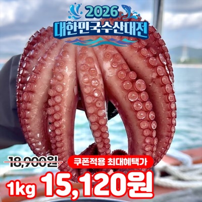 [특가할인] 자연산 남해안 활 돌문어 1kg
