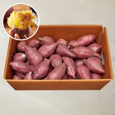 [대용량] 달콤한 황금 꿀고구마 10kg