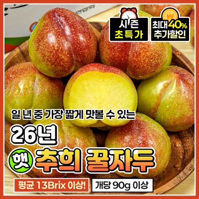 26년 산지 첫 수확 달콤한 여름 늦자두 추희자두