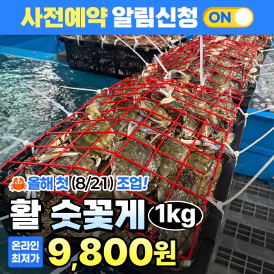 [8/21일 올해 첫 출고!] 제철 서해안 활 숫꽃게 1kg