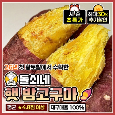 돌쇠네 자체선별 밤끼 가득한 포슬포슬 햇 밤고구마