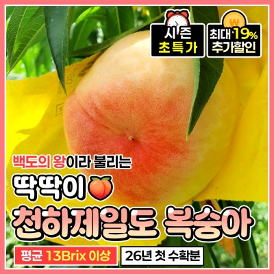 아삭 달콤한 천하제일도 백도 딱딱이 복숭아 2kg