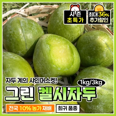 여름 끝자락에 나오는 신맛 없는 신품종 청자두 켈시자두