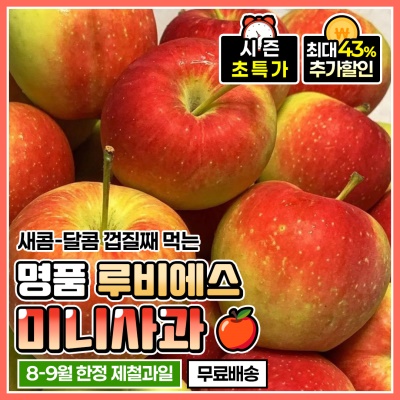 달콤한 과즙이 일품인 루비에스 미니사과 2kg