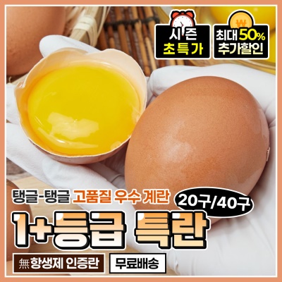 무항생제 신선한 1+등급 특란 달걀 계란