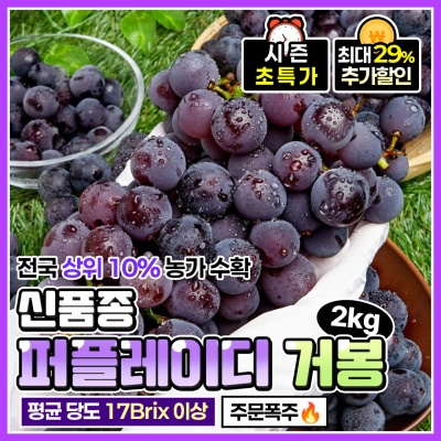 26년 신품종! 달콤함 가득 퍼플레이디 포도 거봉 2kg