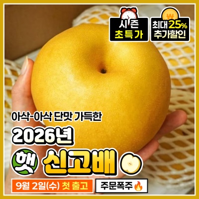 아삭함과 당도는 기본 실속형 로얄과 신고배