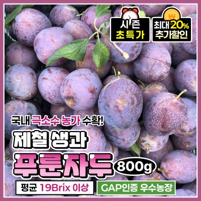 과즙이 풍부한 새콤달콤한 햇 푸룬자두 생과