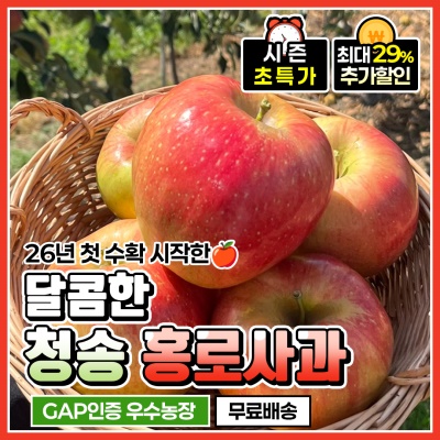 GAP 인증 유황 먹여 키운 달콤한 청송 홍로 사과