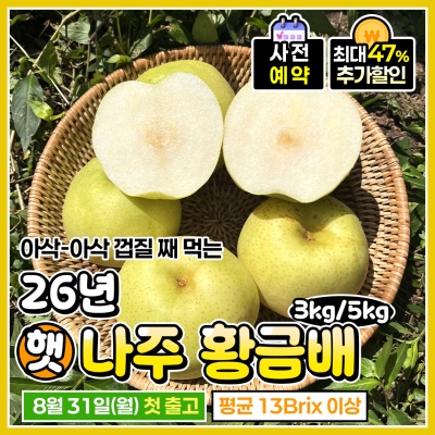 황금빛 꽉 찬 과육! 고당도 나주 "햇" 황금배 로얄과