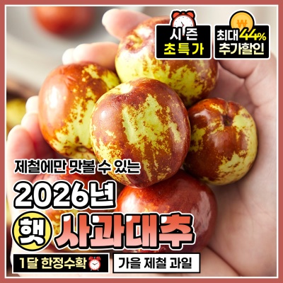 제철에만 맛 볼 수 있는 자체선별 햇 사과대추
