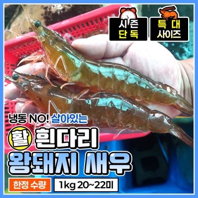 [특대왕 사이즈] (활) 흰다리새우 1kg (20~22미)