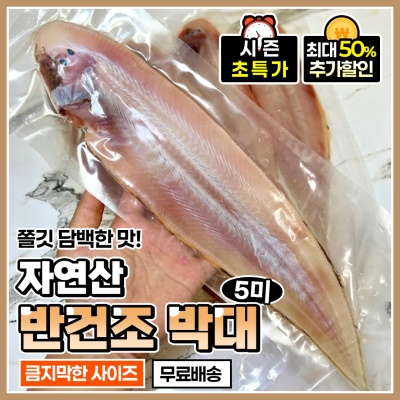 쫄깃쫄깃 국민생선 자연산 반건조 박대 5미