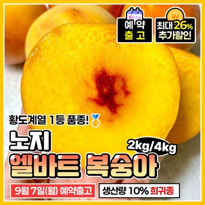 GAP인증 당도선별 상주 엘바트 황도 복숭아