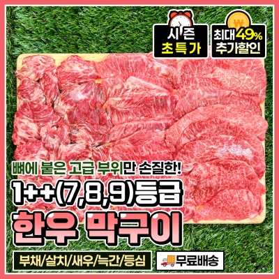 한우 1++(7,8,9)투쁠 모둠 막구이 로스구이 500g(3-4인분)