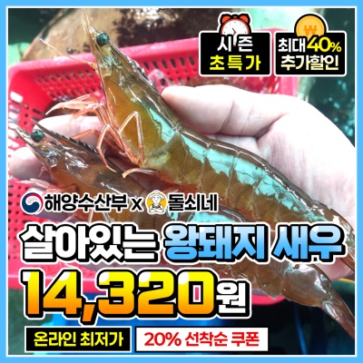 대왕 사이즈 살아있는 (활) 왕돼지 흰다리새우 500g (10~11미 내외)