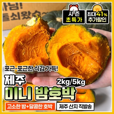 제주 산지 제철 달콤 가득한 미니보우짱 미니밤호박