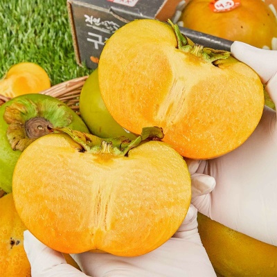 [특가할인] 아삭하고 풍부한 과즙! 가정용 햇 태추단감 2kg