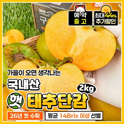 아삭하고 풍부한 과즙! 가정용 햇 태추단감 2kg
