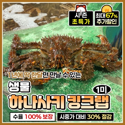 직수입 특 A급 프리미엄 하나사키 킹크랩 생물 발송