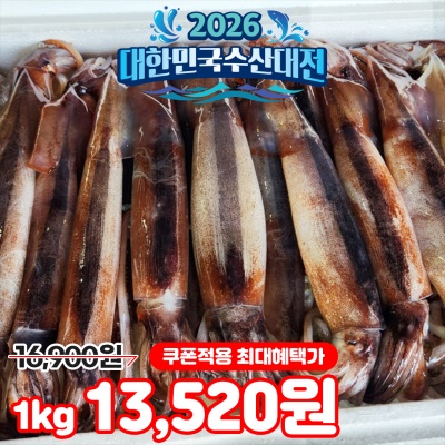 당일바리 싱싱한 생물 통찜 오징어 초코 오징어 1kg