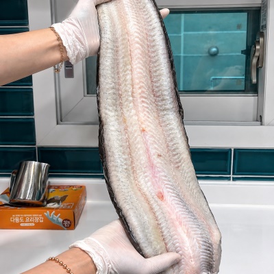 [특가할인] 국내산 자포니카 특대 사이즈 대물 풍천 민물장어 1kg