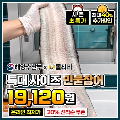국내산 자포니카 특대 사이즈 대물 풍천 민물장어 1kg