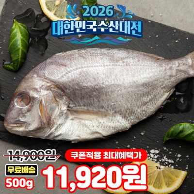 [명절 전 출고 상품] 활어 작업! 특사이즈 반건조 참돔 1kg (건조 후 500g 이상)