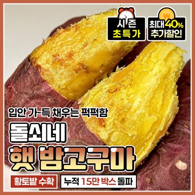 돌쇠네 자체선별 밤끼 가득한 포슬포슬 햇 밤고구마